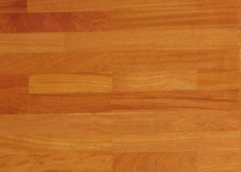 Kirsche amerikanisch (Black Cherry)